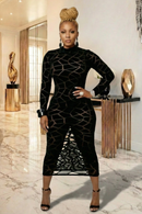 Black Beauty Sheer Mesh Maxi Dress